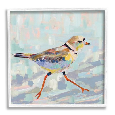 Stupell Industries Coastal Plover Abstract Bird Framed Giclee