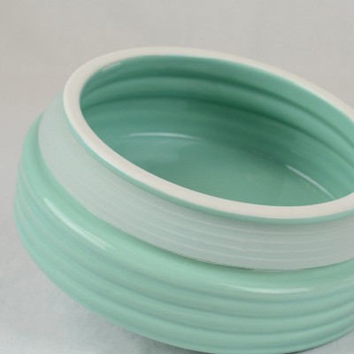 Blue Ceramic BPA-Free Cookie Jar Set