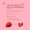 Tru Fru Hyper-Dried Strawberries in Dark and White Chocolate - 1.7oz - 4 of 4