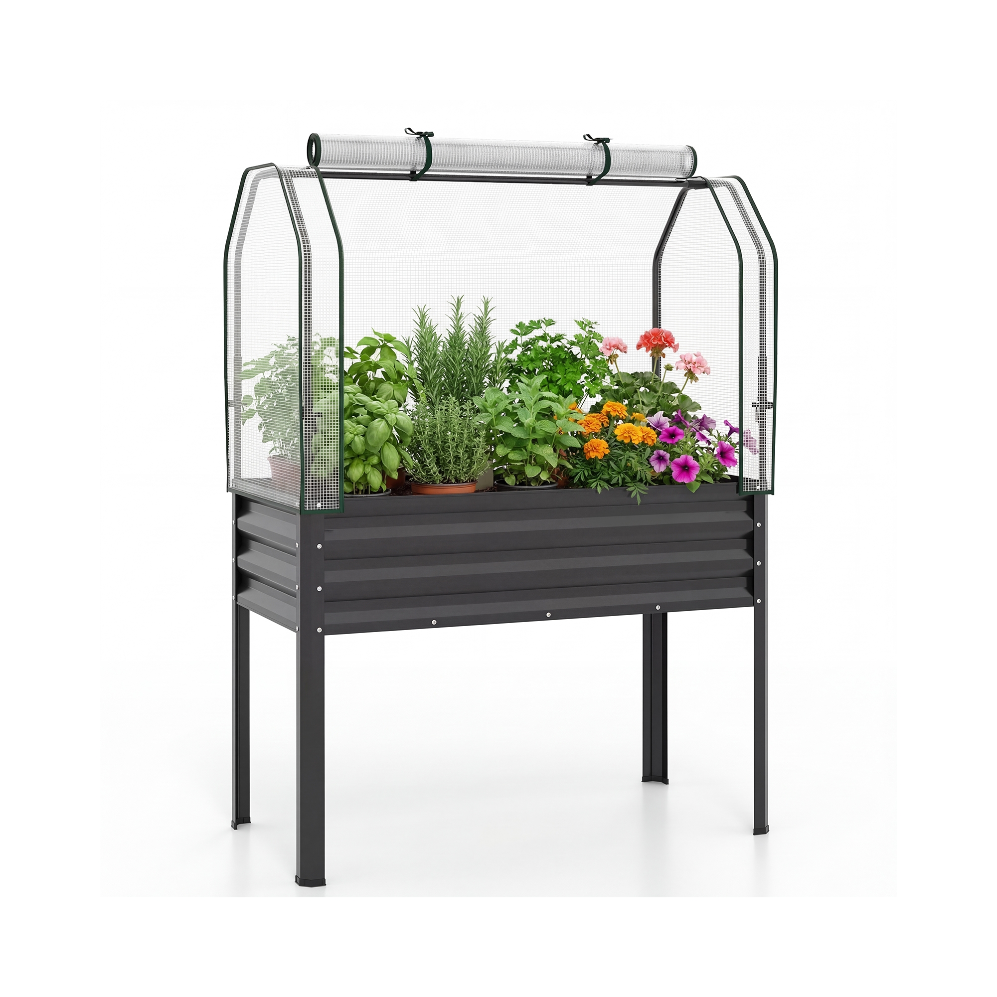 Costway 1 PCS Galvanized Raised Garden Bed with Legs Greenhouse Cover Roll-up Door for Vegetable Black