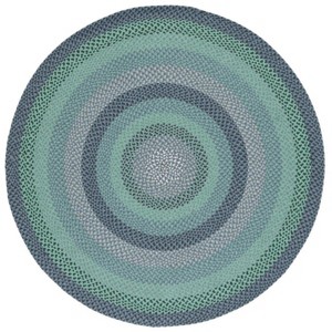 Braided BRD651 Flat Weave Rug - Safavieh - 1 of 4