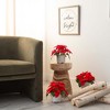 Nearly Natural 9-in Artificial Poinsettia Arrangements in White Ceramic Pots - Set of 3 - 4 of 4