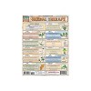 BarCharts Inc. QuickStudy Natural Health Reference Set (9781423230427) - 3 of 4