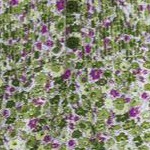 olive green blooming ditsy