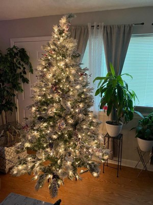 Guest review image 2 of 2, zoom in