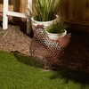15.25" Iron Chicken Wire Chicken Sculpture Brown - Zingz & Thingz: Garden Decor, Porch Accent, No Battery Required - 4 of 4
