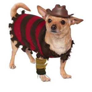 A Nightmare on Elm Street Freddy Krueger Pet Costume, X-Large - 1 of 1