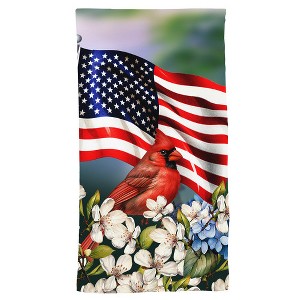 Briarwood Lane Spring Hand Towel 26x18 American Cardinal For Spring Hand Towel - 1 of 3