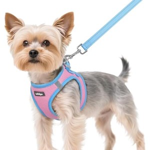 rabbitgoo Dog Harness Small Sized and Leash Puppy Vest for Small Dogs, Pink & Light Blue, XS - 1 of 1