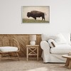 Stupell Industries Serene Buffalo on Country Hill Framed Giclee Art - 3 of 4