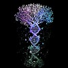 Junior's Design By Humans DNA Tree Life Earth Genetics Biologist Science Gift By Luckyst T-Shirt - image 2 of 3