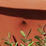 terracotta