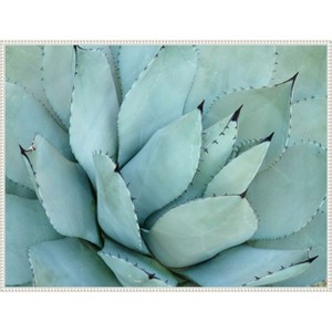 Amanti Art Agave Detail IV by Brittany Evans Framed Canvas Wall Art - 1 of 4