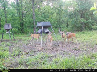 Guest review image 1 of 2, zoom in