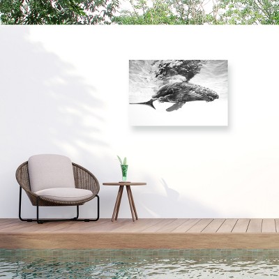 Trademark Fine Art - Barathieu Gabriel Humpback Whale Calf Matted Framed Art