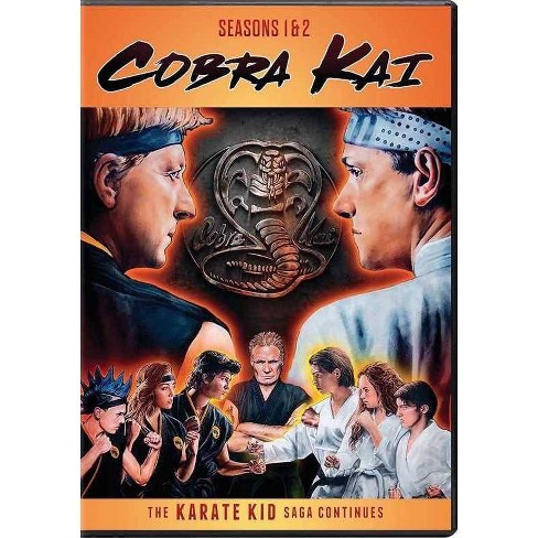 Initial Review: Cobra Kai. So I watched all of Cobra Kai last