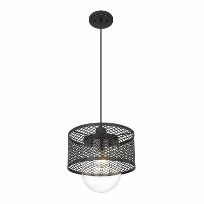 Matte Black Glass Indoor/Outdoor Pendant Light