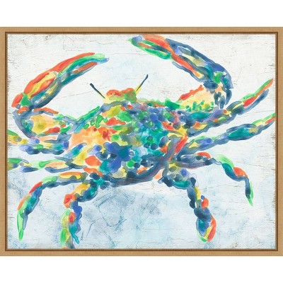 Rainbow Crab II Abstract Canvas Art with Maple Floater Frame