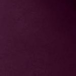 dark berry