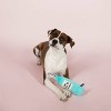 PetShop by Fringe Studio Ruff Day Chardonnay Dog Toy - 2 of 4