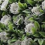white - 2pcs