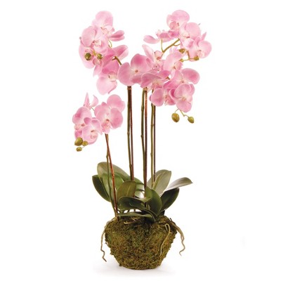 Plum & Post Phalaenopsis Orchid Faux (Fake) Drop-In 30"