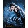 The Twilight Saga: Breaking Dawn - Part 2 (DVD) - 2 of 2