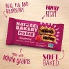 Nature's Bakery Raspberry Fig Bar - 6ct : Target