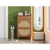Munora 2-Door Shoe Cabinet - Walnut Finish with Rattan & Carved Panels - Freestanding for Entryway - 23.7"W x 43.43"H - 2 of 4
