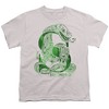 Harry Potter Slytherin S Kids T-Shirt For Youth Silver - 2 of 4