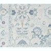 Rugs America Zyra Transitional Vintage Area Rug - 4 of 4