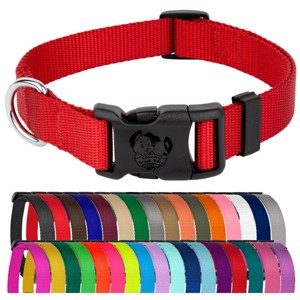 Country Brook Petz Everyday Nylon Dog Collar - 1 of 4