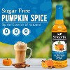 Syruvia Sugar Free Pumpkin Spice Syrup - 25.4 fl oz. Premium Flavoring Syrup For Coffee - 2 of 4