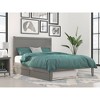 Noho Bed with Twin Extra Long Trundle - AFI - 2 of 4