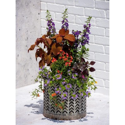 Galvanized Grow Bag Planter 12in - Gardener's Supply Company