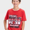 Boys' Short Sleeve Chicago Bulls Graphic T-Shirt - art class™ - image 2 of 4