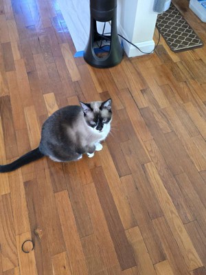 Guest review image 1 of 1, zoom in