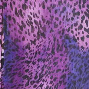 dark violet ombre animal
