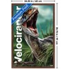 Trends International Jurassic World: Rebirth (2025) - Velociraptor Framed Wall Poster Prints - 3 of 4