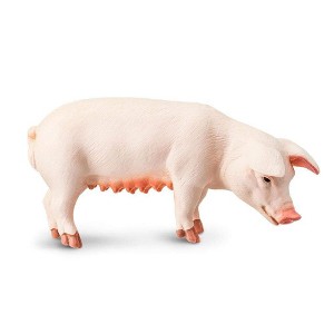 Sow Pig Animal Figure by Safari Ltd 161029 - 1 of 1