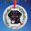 Collections Etc Personalizable Pet Ornament - 2 of 3
