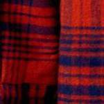 bordeaux plaid