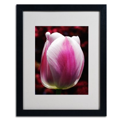 Trademark Fine Art -Kurt Shaffer 'Perfect Pink and White Tulip' Matted Framed