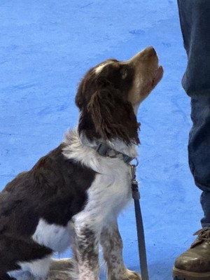 Guest review image 2 of 3, zoom in