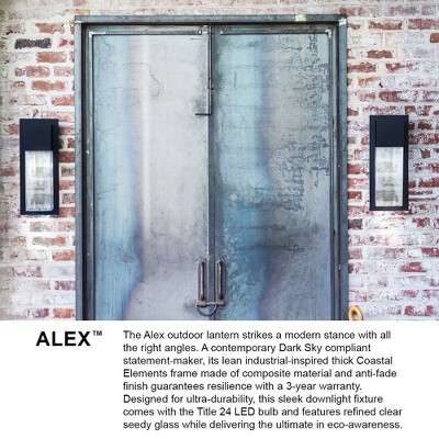 Alex Black Dimmable Outdoor Wall Lantern with Clear Seedy Glass