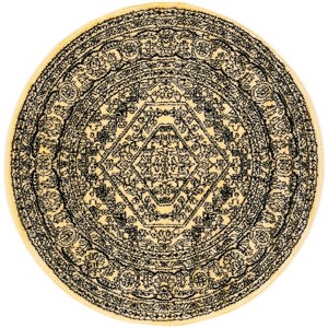 Adirondack ADR108 Non-Shedding Power Loomed Indoor Rugs - Safavieh - 1 of 3