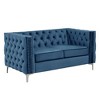 Modern 61 in.  Deep Dutch Velvet 2-Seater Loveseat with Iron Legs - Morden Fort - 3 of 4