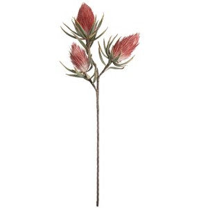 Red Eliana Stem – 35.5"H Artificial Flower with Bendable Petals, EVA Foam & Wire Construction (Set of 6) By Kalalou - 1 of 3