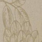 Toile Floral Stucco