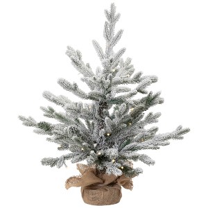 Northlight Real Touch™ Pre-Lit B/O Tamarack Pine Artificial Christmas Tree with Burlap - 2' Warm White LED - 1 of 4